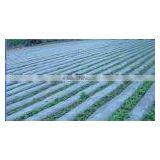 Anti-fog Agriculture Film/greenhouse Film/mulch Film thumbnail-1