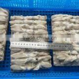 Frozen Baby Loligo Squid thumbnail-4