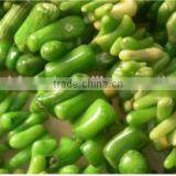 3-7mm Branch Shape Natural Green Coral Bead thumbnail-1