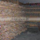 Manau Cane 35MM up thumbnail-1