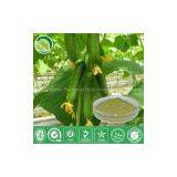 Cucumber Extract thumbnail-1