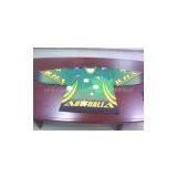 Ice Hockey Jersey thumbnail-2