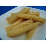 CANNED BABY CORN IN BRINE (Ms. Angela - Website: Dzungphan94) thumbnail-1