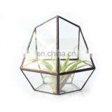 Terrarium Geometric Glass Terrarium Wholesale thumbnail-1