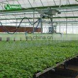 Commercial Agricultural Greenhouse Movable Nursery Bench thumbnail-4