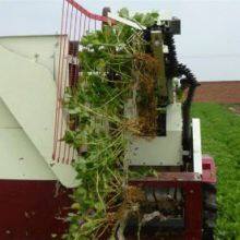 Groundnut Combine Harvester Self-propelled With 30hp Tractor thumbnail-2
