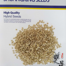 Hot Sale Processing Type Tomato Seed for Planting thumbnail-2