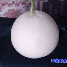 Sweet Star No.21 Resist Diseases Hybrid Musk Melon Seeds thumbnail-3