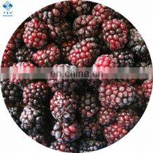 BRC-A Certified Factory IQF Frozen Blackberry thumbnail-1