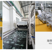 100 г свежих и сочных рассады ламинарии (ароматный маринованный вкус) thumbnail-2