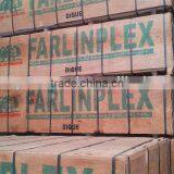 Ukraine Market Film Faced Plywood thumbnail-4