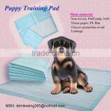 HEAVY ABSORBENT PUPPY TRAINING PADS thumbnail-1
