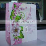 pp Palastic Foldable Shopping Bags