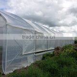 Greenhouse Covering thumbnail-6