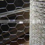 Hexagonal Wire Mesh 1