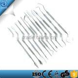 12-Piece Stainless Steel Double-Sided Wax Carvers Set