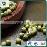Machine Dressed Green Mung Bean thumbnail-6