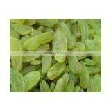 Green Raisins thumbnail-1