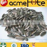 Top Quantity Chinese Sunflower Oil Seeds in Shell 5009 With Market Price