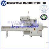 Hot Selling Pillow Packing Machine at Lowest Price thumbnail-2