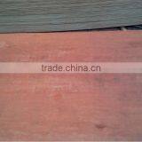Bintangore Plywood for Malaysia Market thumbnail-1