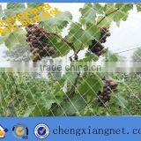100% Virgin HDPE With UV Treated Orchard Anti Bird Net
