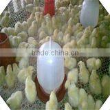 Green Plastic Coating Wire Mesh / Plastic Wire Mesh Factory Price thumbnail-3