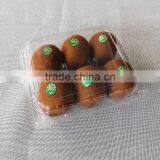 Cheap 6pcs Clear Plastic Kiwi Fruit Packaging Container,fruit Boxes thumbnail-4