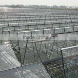Greenhouse Cooling Equipments thumbnail-6