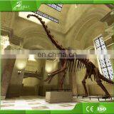 KAWAH Theme Museum Life Size Realistic Artificial Dino Skeleton thumbnail-3