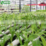 Agricultural Greenhouse Hydroponic Channels Set Hydroponic Growing Systems thumbnail-5