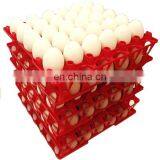 30 Holes Plastic Egg Tray for Packing and Transportation 30*30*5 cm Plastic Egg Tray