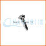 China Supplier Anti-theft Screw s Type