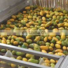 Mango Juicer Production Line Machine Automatic Mango Juice Filling Production Line Machines thumbnail-4