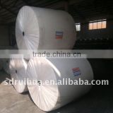 reinforced polyester mat used for APP/SBS membrane