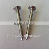 Zinc Plated Clout Nail for Ceiling Factory of Linyi Shandong