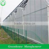Good Price Greenhouses Growing Vegetable thumbnail-3