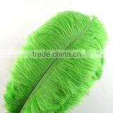 Carnival Decoration Ostrich Feathers, White Plumes, Dyed 20-30 Inches High Quality thumbnail-6