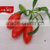 Ninghai Goji Berry thumbnail-1