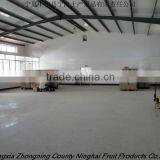 Goji Berry thumbnail-1