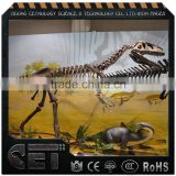 Cetnology Amusement Park Products Artificial Dinosaur Fossils