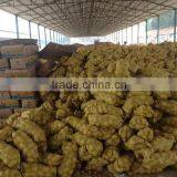 Fresh Potato Market/Fresh Potato /Holland Potato thumbnail-3