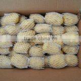 New Crop Potato Stick With High Quality thumbnail-1