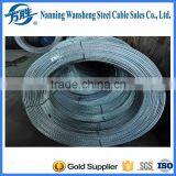 Galvanized Steel Wire Cable, ACSR Cable