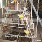 Durable Automatic Boiler Chicken Cage System for Sale thumbnail-2