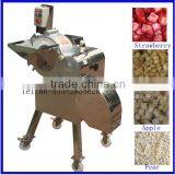 Automatic Fruit Chopper Machine