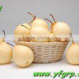 Ya Pear Canned thumbnail-1