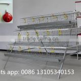 Best automatic drinkers poultry cage high quaility poultry equipment