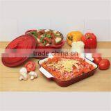 Cast Iron Enamel Roasting Pan