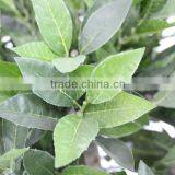 Artificial Topiary Trees Factory thumbnail-3